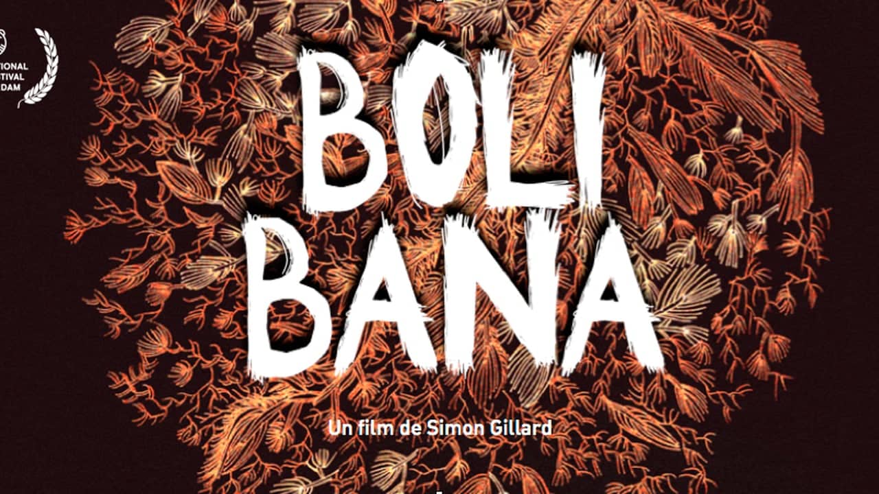 Poster de la película